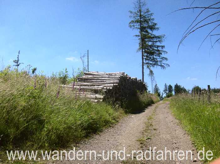 Aufgearbeitetes Holz