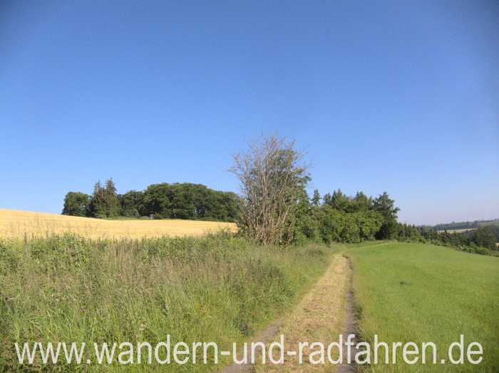 Liebliche Landschaft