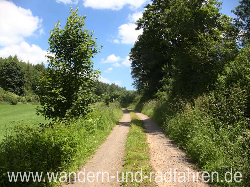 Typischer Feldweg auf dem Diemelsteig.