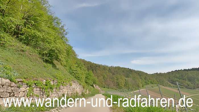 Weinberge