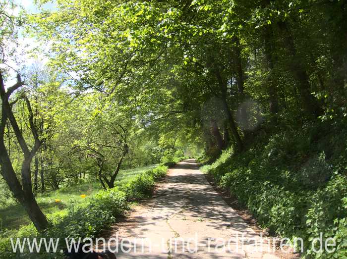 Am Waldrand entlang. Schöner Weg zwischen Obstwiese und Waldrand.