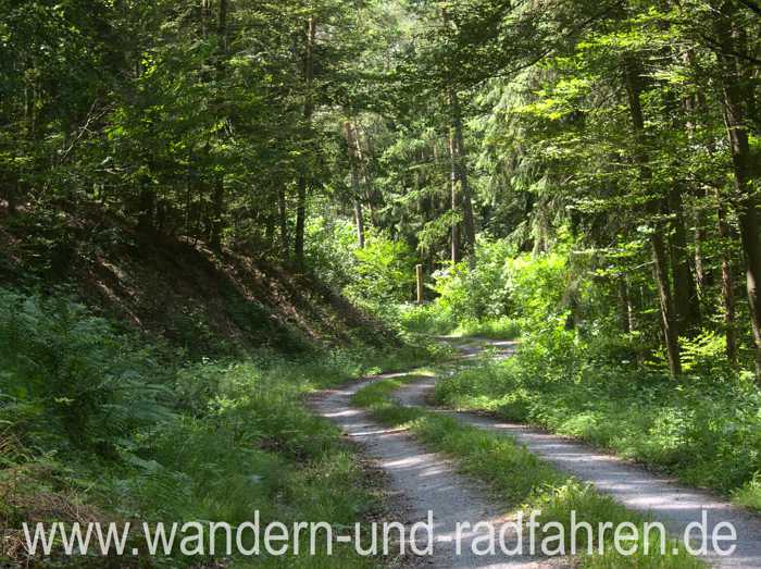 Waldweg