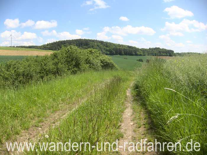 Durch Feld und Wiese