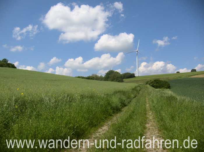 Durch Feld und Wiese