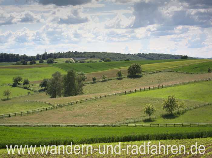 Wiesenlandschaft